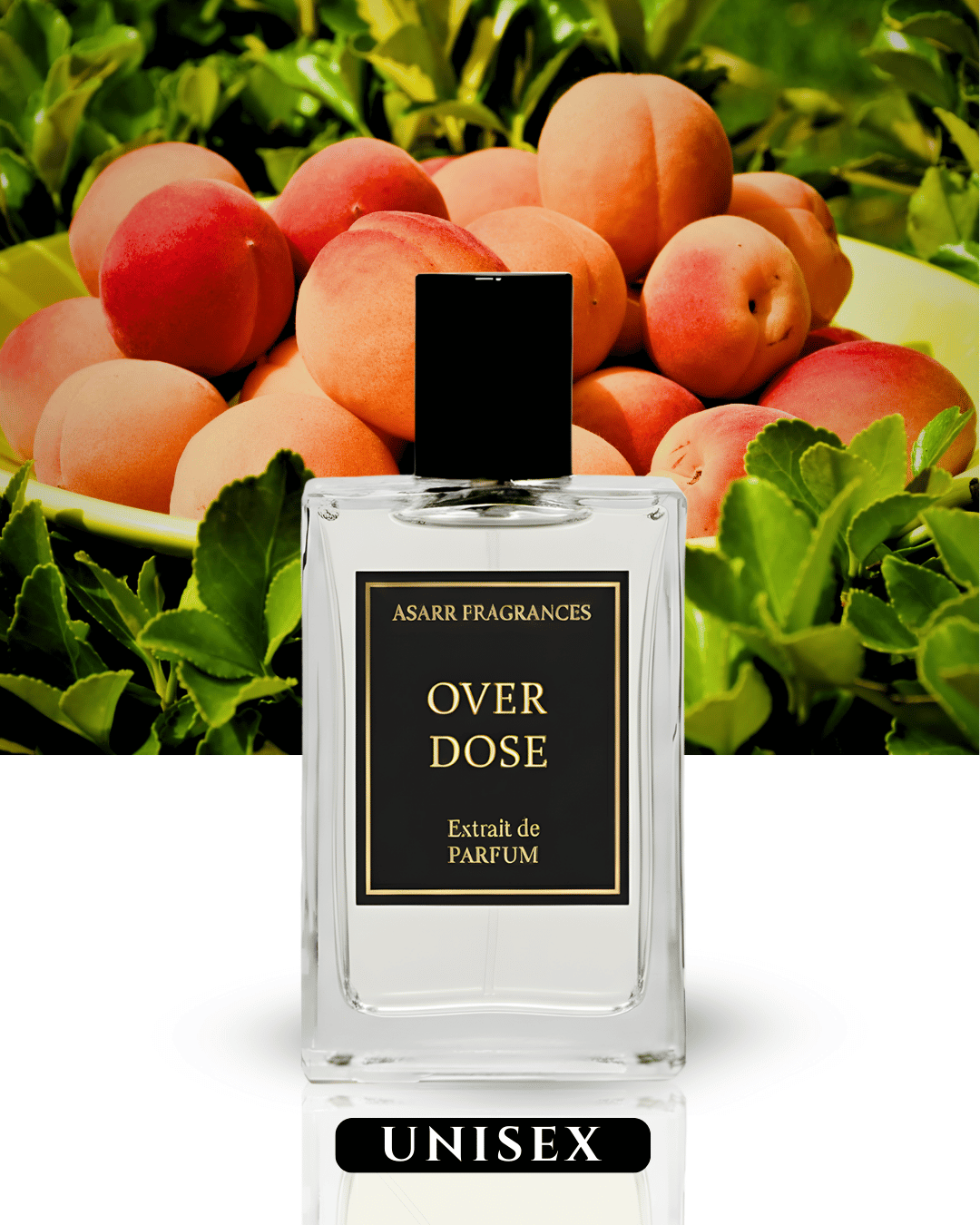 Over Dose–Inspired Kirke