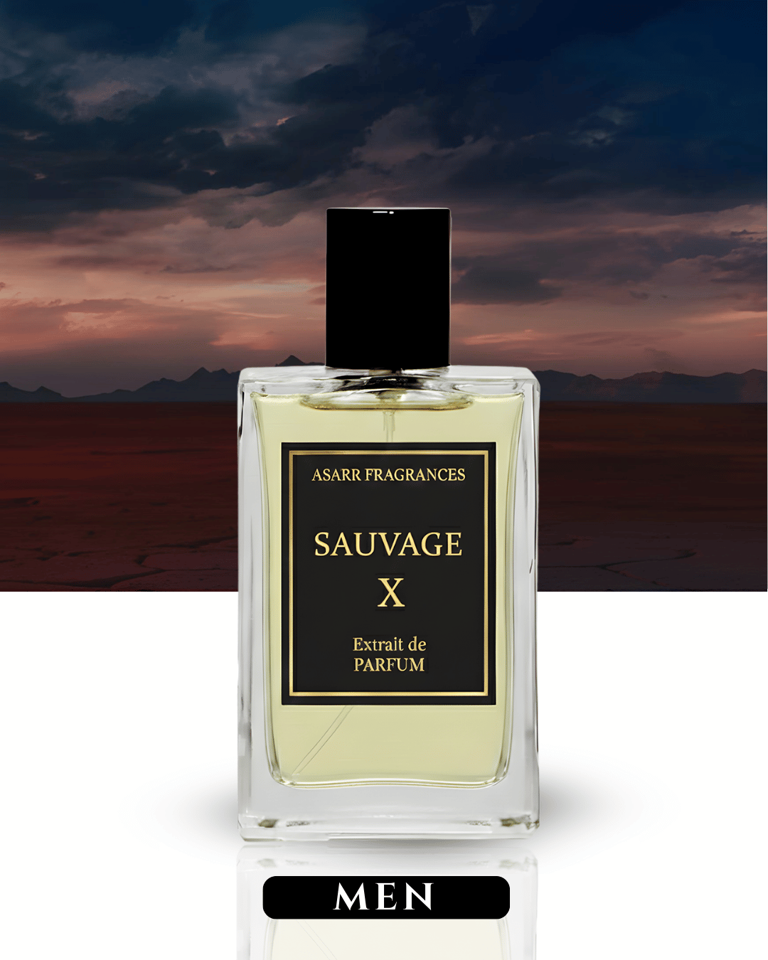 Sauvage X–Inspired By Sauvage Elixir